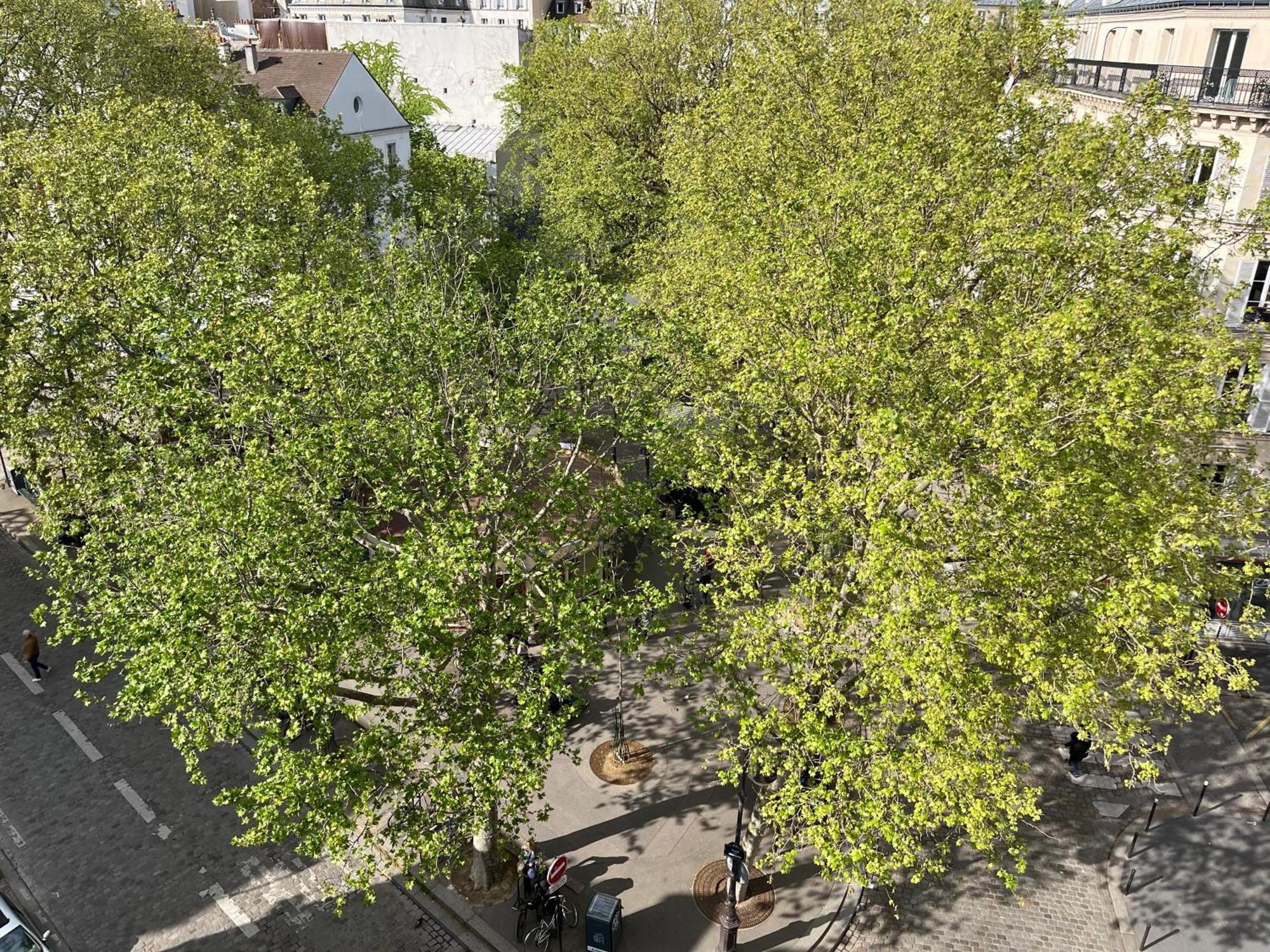 Montmartre Belle Vue Appartamento *